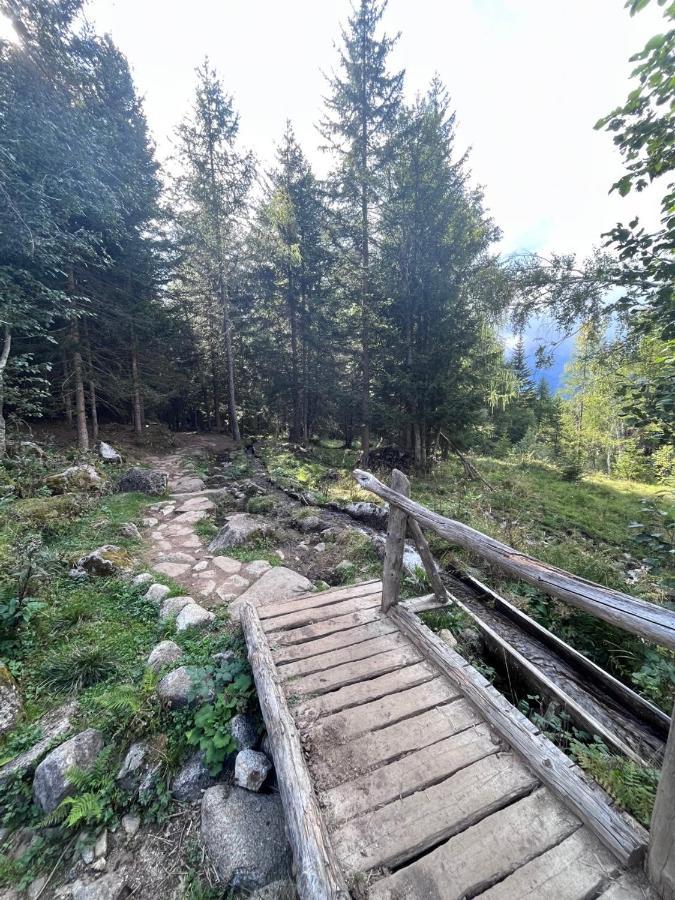 Rifugetto Apartment Marilleva Bagian luar foto